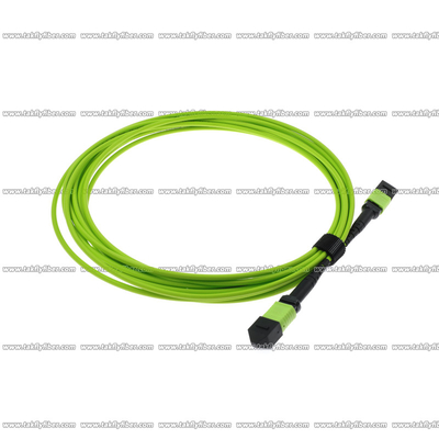Multimode OM5 MPO Fiber Cable 12 Cores 3.0mm LSZH MPO Patch Cord