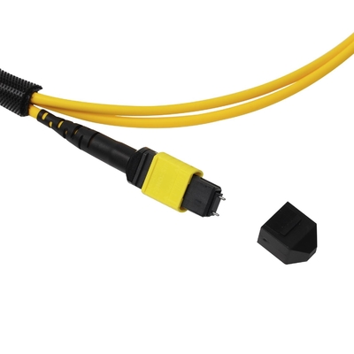Plenum OFNP MPO Patch Cord 1m 3ft MTP-12 APC Female to MTP-12 APC Female Single Mode OS2