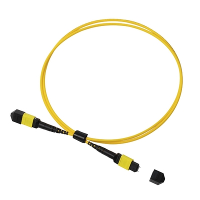 Plenum OFNP MPO Patch Cord 1m 3ft MTP-12 APC Female to MTP-12 APC Female Single Mode OS2