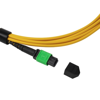 Plenum OFNP MPO Patch Cord 1m 3ft MTP-12 APC Female to MTP-12 APC Female Single Mode OS2