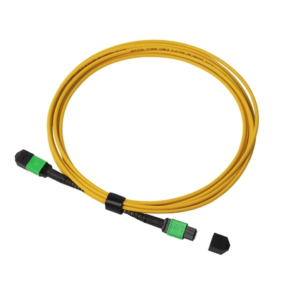 Plenum OFNP MPO Patch Cord 1m 3ft MTP-12 APC Female to MTP-12 APC Female Single Mode OS2