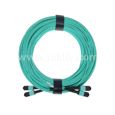 24 Cores MTP Trunk Cable Fiber Optic Jumper for Data Center FTTX PVC Customizable