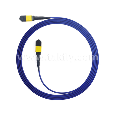 Data Center FTTX Fiber Optic Cable MPO Patch Cord MTP Trunk Cable Armored SM MM Jumper