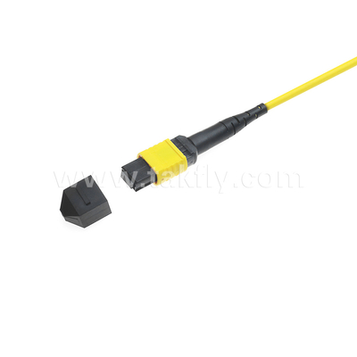 Data Center FTTX Fiber Optic Cable MPO Patch Cord MTP Trunk Cable Armored SM MM Jumper