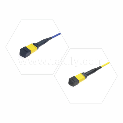 Data Center FTTX Fiber Optic Cable MPO Patch Cord MTP Trunk Cable Armored SM MM Jumper