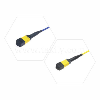 MPO/MTP Patchcord Armored Trunk Cable SM/MM Jumper Fiber Optic for Data Center AI FTTX Telecom
