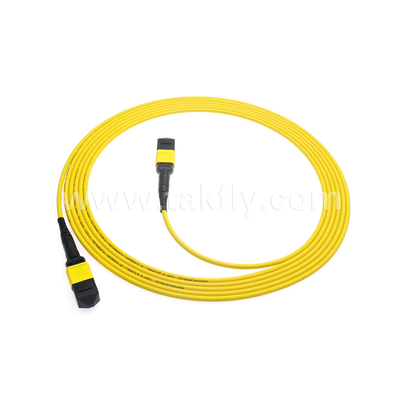Data Center FTTX Fiber Optic Cable MPO Patch Cord MTP Trunk Cable Armored SM MM Jumper