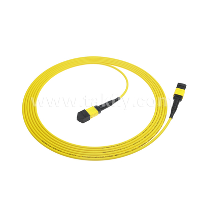 Data Center FTTX Fiber Optic Cable MPO Patch Cord MTP Trunk Cable Armored SM MM Jumper