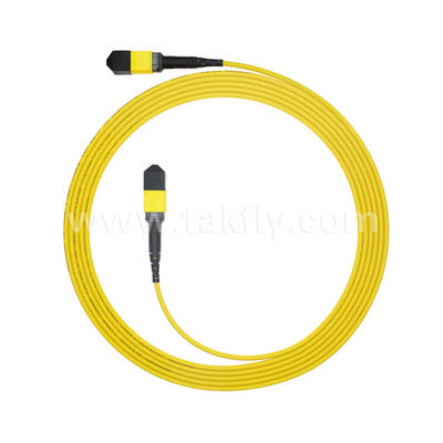 MPO/MTP Patchcord Armored Trunk Cable SM/MM Jumper Fiber Optic for Data Center AI FTTX Telecom