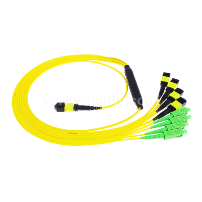 Optional MTP Trunk Cable MPO/MTP SC/LC/FC/ST/MPO Fiber Optic Cable for Data Center