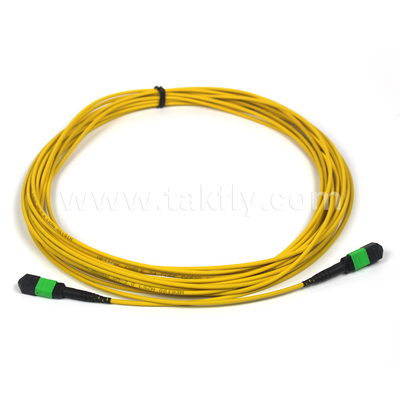 MTP-12 APC Female to MTP-12 APC Female Singlemode OS2 Plenum OFNP Type A MPO patch cord