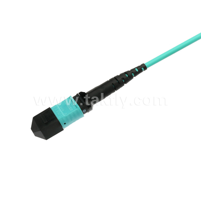 Elite Multimode OM3 50/125 Plenum OFNP Type B MPO Patch Cord 30m 100ft MTP-12 PC Female To MTP-12 PC Female