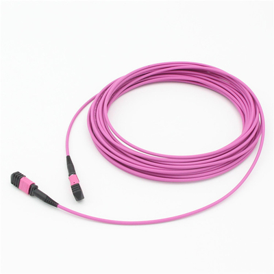 Elite Multimode OM4 50/125, Plenum OFNP Type B MPO patch cord 1m 3ft MTP-12 PC Female to MTP-12 PC Female