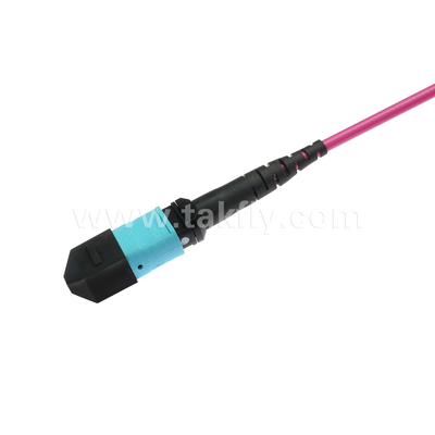 Elite Multimode OM4 50/125, Plenum OFNP Type B MPO patch cord 1m 3ft MTP-12 PC Female to MTP-12 PC Female