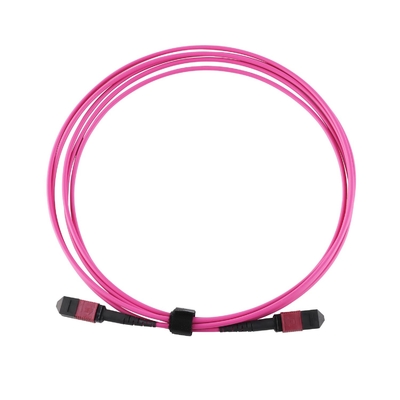Elite Multimode OM4 50/125, Plenum OFNP Type B MPO Patch Cord 5m 16ft MTP-12 PC Female To MTP-12 PC Female