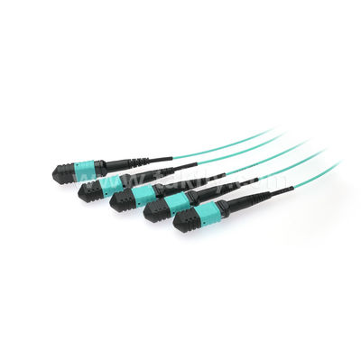 MPO/MTP Fanout Cable PLC Splitter 1x4 Multimode OM3 Fiber Optic for Data Center FTTX