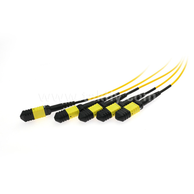 Fiber Optic Cable MPO/MTP SM/MM PLC Splitter 1x4 for Data Center FTTX