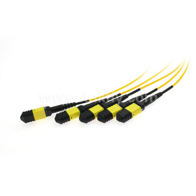 MPO/MTP Fanout Cable PLC Splitter 1x4 SM/MM Fiber Optic for Data Center FTTX