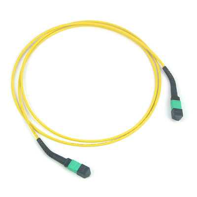 12/24/48/96/144 Cores MPO/MTP Trunk Cable with 50/125um Fiber Mode and PVC/LSZH Outer Sheath Fiber Optic Patchcord