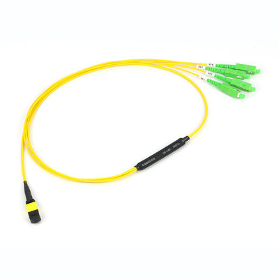 12/24/48/96/144 Cores MPO/MTP Trunk Cable with 50/125um Fiber Mode and PVC/LSZH Outer Sheath Fiber Optic Patchcord