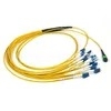 12 Core OM3 MPO to LC Fanout Fiber Optic Cable LSZH CPR Certified
