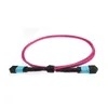 MTP-24 Singlemode LSZH Trunk Cable 12/24 Core