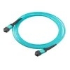 12F 24F MPO MTP Fiber Optic Trunk Cable OM3 SC Connector