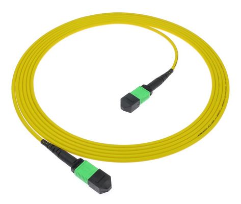 MPO/MTP Patch Cord UPC/APC PVC/LSZH