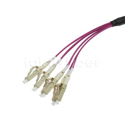 Low Loss CPR B2ca 40G 50/125 OM4 Multimode MTP MPO Breakout Fiber Patch Cable