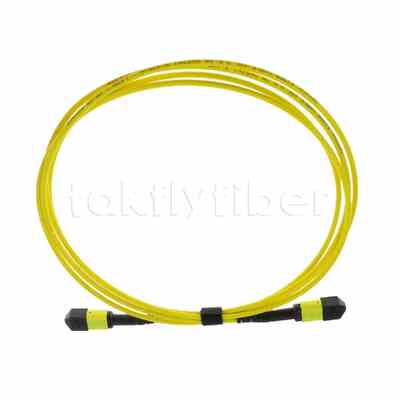 Plenum (OFNP) 0.35dB Max Type B MPO Male to MPO Female Fiber Patch Cable