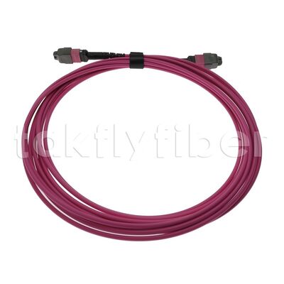 CPR B2ca Multimode OM4 MPO to MPO Fiber Trunk Cable, MTP-12 OM4 Female to Female, Type A, 5m