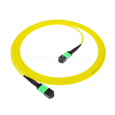 8F 12F 16F 24F MPO MTP Male Female SM OS2 G652D G657A1 G657A2 Fiber Optic Patchcord / Optical Fiber Patch Cable / Optical Breakout Cable/ Optical Fiber Trunk Cable for High Density Data Center