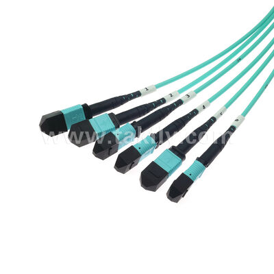 6x12F MPO MTP Male Female 72 Fibers MM Multimode OM3 OM4 Fiber Optic Patchcord / Optical Fiber Patch Cable / Optical Breakout Cable/ Optical Fiber Trunk Cable / Optic Fiber Fanout Cable