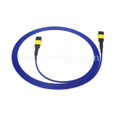Steel Armoured Armored Fiber Cable 8F 12F 16F 24F MPO MTP Male Female Fiber Optical Breakout Cable Fiber Optic Patchcord/Optical Fiber Patch Cable/Optical Fiber Trunk Cable/Optic Fiber Fanout Cable