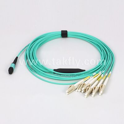 12F MPO MTP to LC OM3 Breakout Cable for High-Density Server and Switch Aggregation