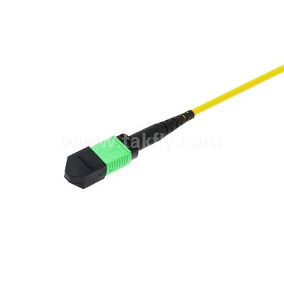 MPO/MTP Patchcord Singlemode Multimode LSZH 8f/12f/24f Fiber Optic Cable for Data Center FTTX