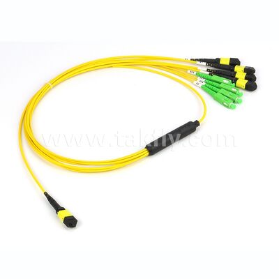 Fiber Optic MPO-CS Breakout Fiber Optic Patch Cord for Data Center
