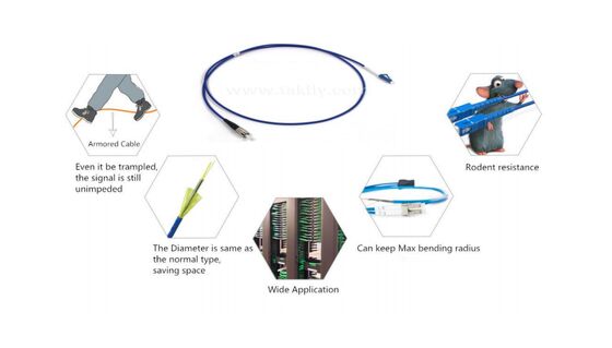 Armored Fiber Patch Cable | Stainless Steel Tube & Kevlar Reinforced | Bend-Insensitive for FTTH, Data Center & Industrial Networks