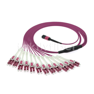 OM4 MPO to LC Uniboot 1-to-24 Breakout Patch Cord | UPC Multimode Low Loss