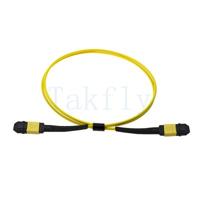 12-Core MPO APC Fanout Patch Cord – Male to Female, Low Loss