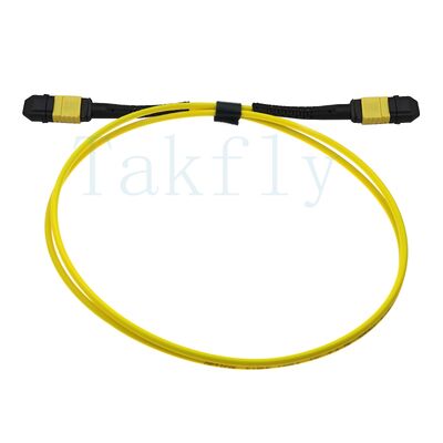 12-Core MPO APC Fanout Patch Cord – Male to Female, Low Loss