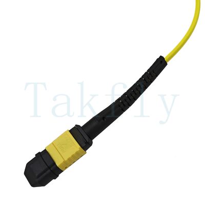 12-Core MPO APC Fanout Patch Cord – Male to Female, Low Loss