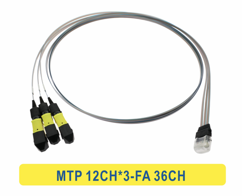 3*12F MTP to 36CH FA Fiber Array Fiber Optic Patchcord Cable
