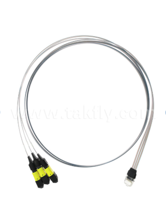 MTP 12CH×3 to 36-Channel Fiber Array Assembly – 3×12CH MTP Connectors to 36CH V-Groove FAU, Low Insertion Loss, for 1.6T Optical Transceivers & Co-Packaged Optics (CPO)