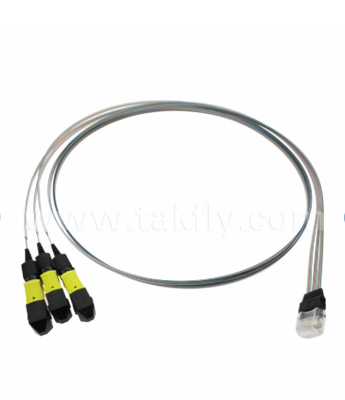 MTP 12CH×3 to 36-Channel Fiber Array Assembly – 3×12CH MTP Connectors to 36CH V-Groove FAU, Low Insertion Loss, for 1.6T Optical Transceivers & Co-Packaged Optics (CPO)