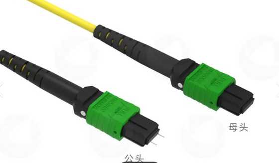 8F 12F 16F 24F MPO MTP Male Female SM MM Fiber Optic Patchcord / Optical Fiber Patch Cable / Optical Breakout Cable/ Optical Fiber Trunk Cable for High Density Data Center