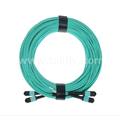 24-Core MPO/PC Mini Trunk Patch Cord – OM3 Multimode, 2×MPO Input to 2×MPO Output, Low Insertion Loss, for High-Density Data Center & 40G/100G SR4 Applications