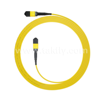 Armored MPO/MTP Patch Cord – Robust Metal Sheath, Prevents Rodent Damage & Crushing, for FTTA / Industrial / Mining