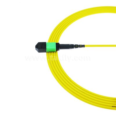 MPO MTP Patchcord SM Trunk Cable 12F Fiber Optic for Data Center AI Telecom FTTX Cabling