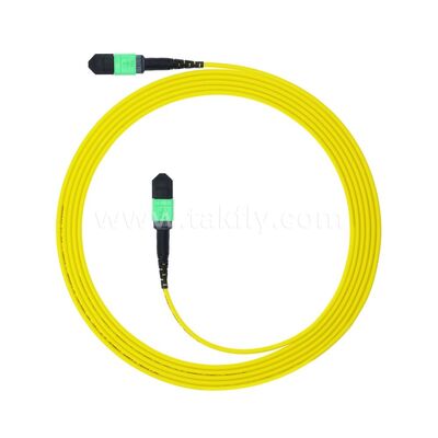 MPO MTP Patchcord SM Trunk Cable 12F Fiber Optic for Data Center AI Telecom FTTX Cabling